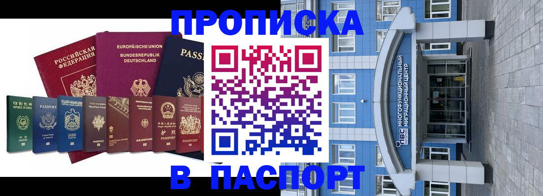 прописка штамп в Тереке